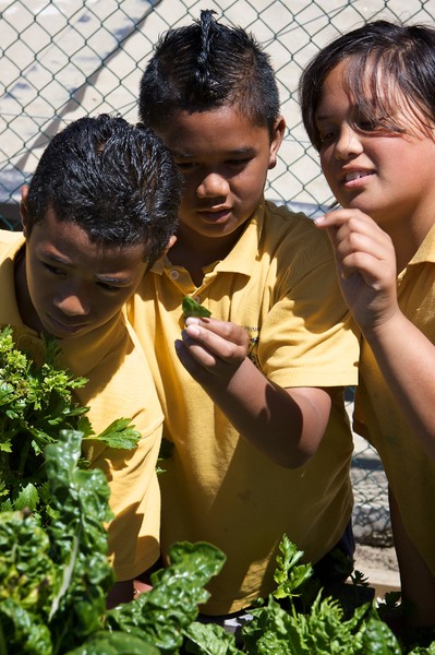 Tevita Uilou, Anthony Minaoapa-Pita, Keziah Tito-Hopa.jpg